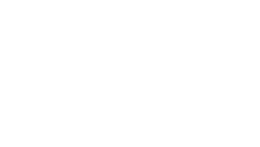 ZAO BOO BURGER